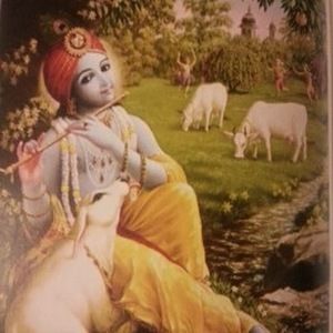 Meet your Posher, Hetal